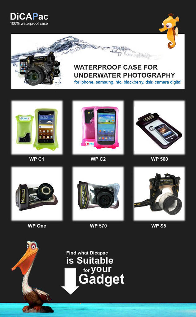 Dicapac Waterproof Case for Smartphone, Iphone, Samsung Galaxy Notes