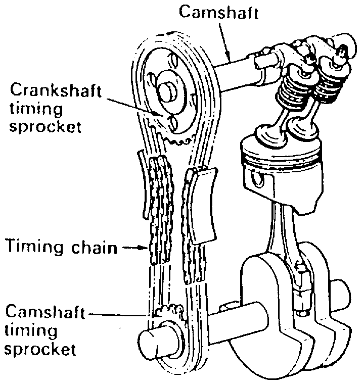 Camshaft перевод. Projecting Camshaft. Timing Chain Block Clock Motorized.