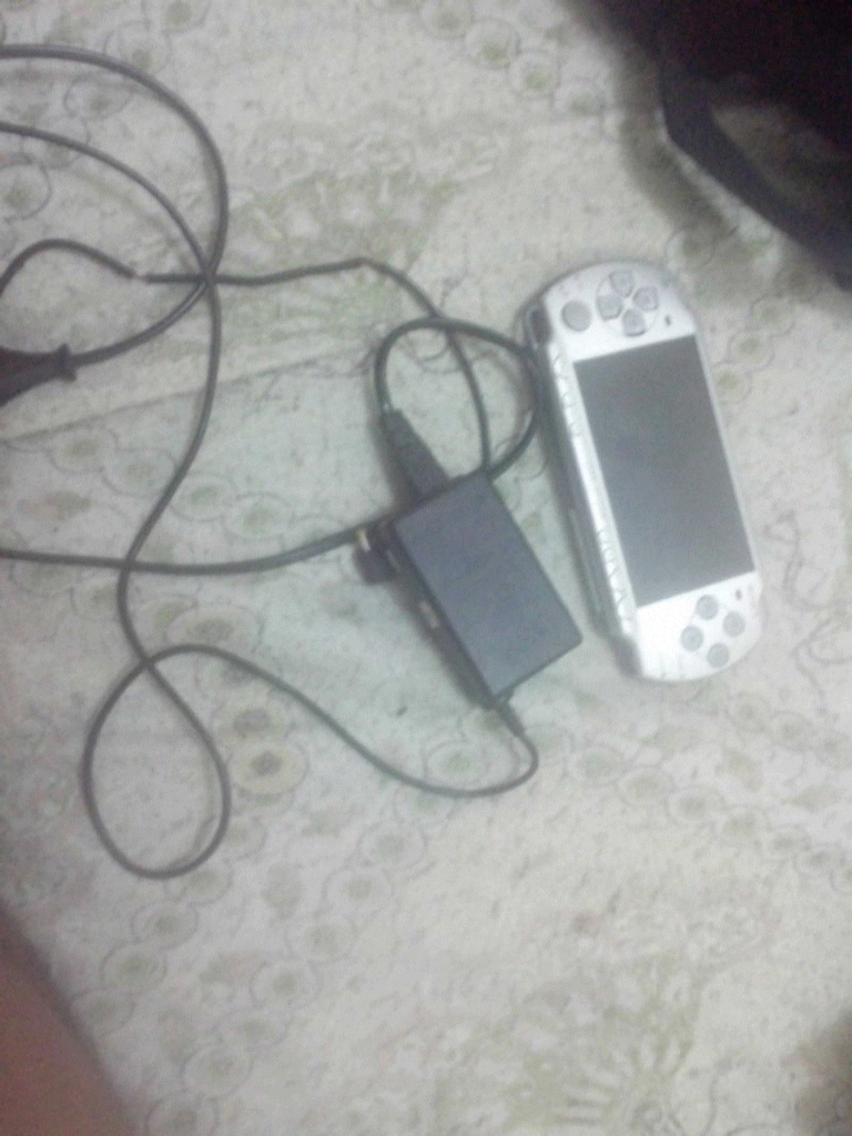 psp 3006