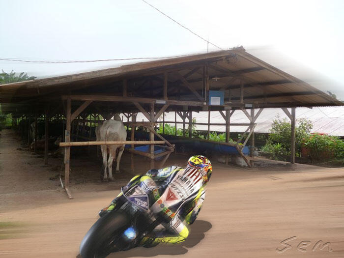 Editan Foto Valentino Rossi