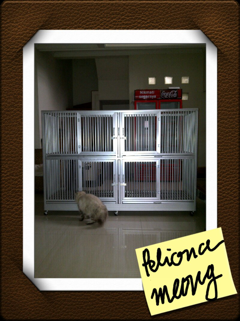 Kandang Alumunium Kucing & Anjing