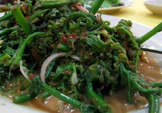 sayur paku dan bulu(bambu) hanya ada di Manado