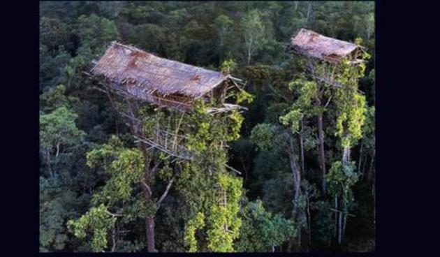 Rumah Pohon Suku Korowai yang Menakjubkan