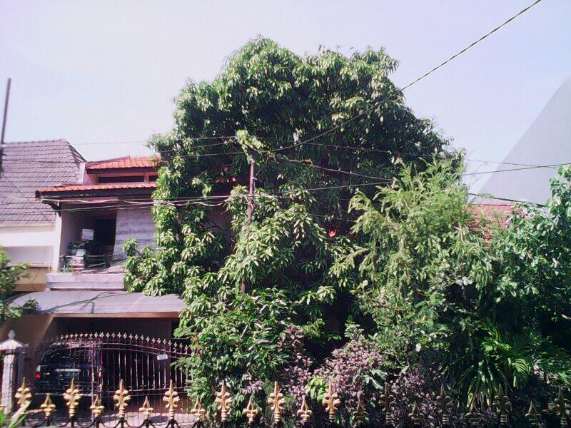 Rumah Tinggal Dijual, lokasi Rungkut Asri, Surabaya