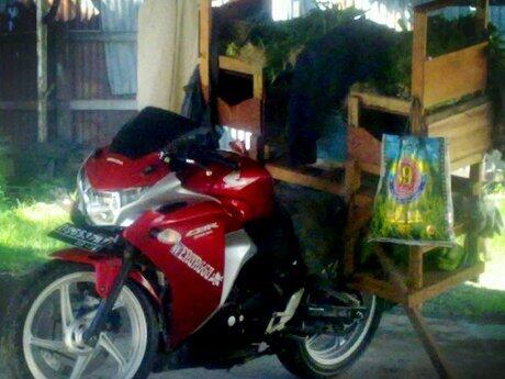 Mantab Gan Penjual Sayur Pakainya Honda CBR250R