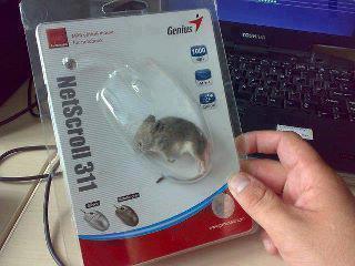 Mouse Lucu Banget