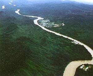 Rekayasa foto ular raksasa Borneo