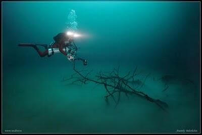 Cenote Angelita - Sungai di bawah laut? Penjelasan singkat!