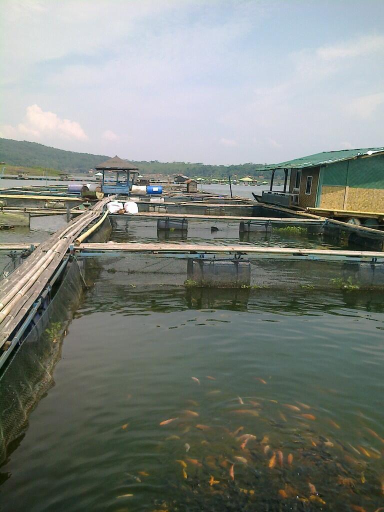 Jual Keramba Jaring Apung / Keramba Budidaya Ikan