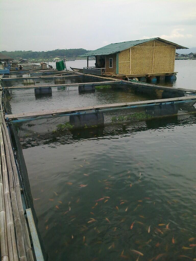 Jual Keramba Jaring Apung / Keramba Budidaya Ikan
