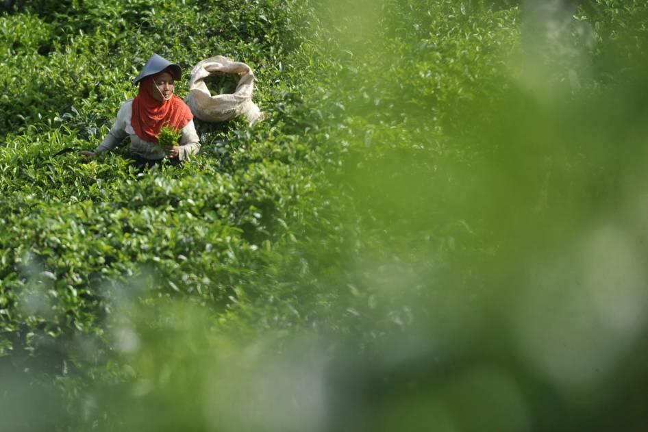 POTRET KAUM BURUH INDONESIA (pict)