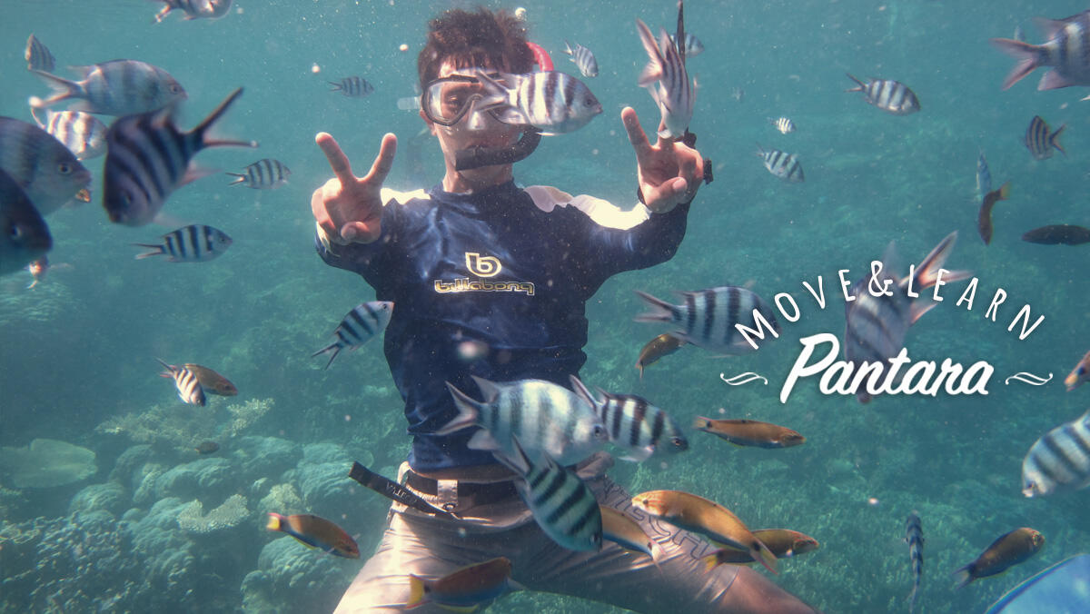 &#91;Foto &amp; Video&#93; Karimun Jawa: Happy Karjaw