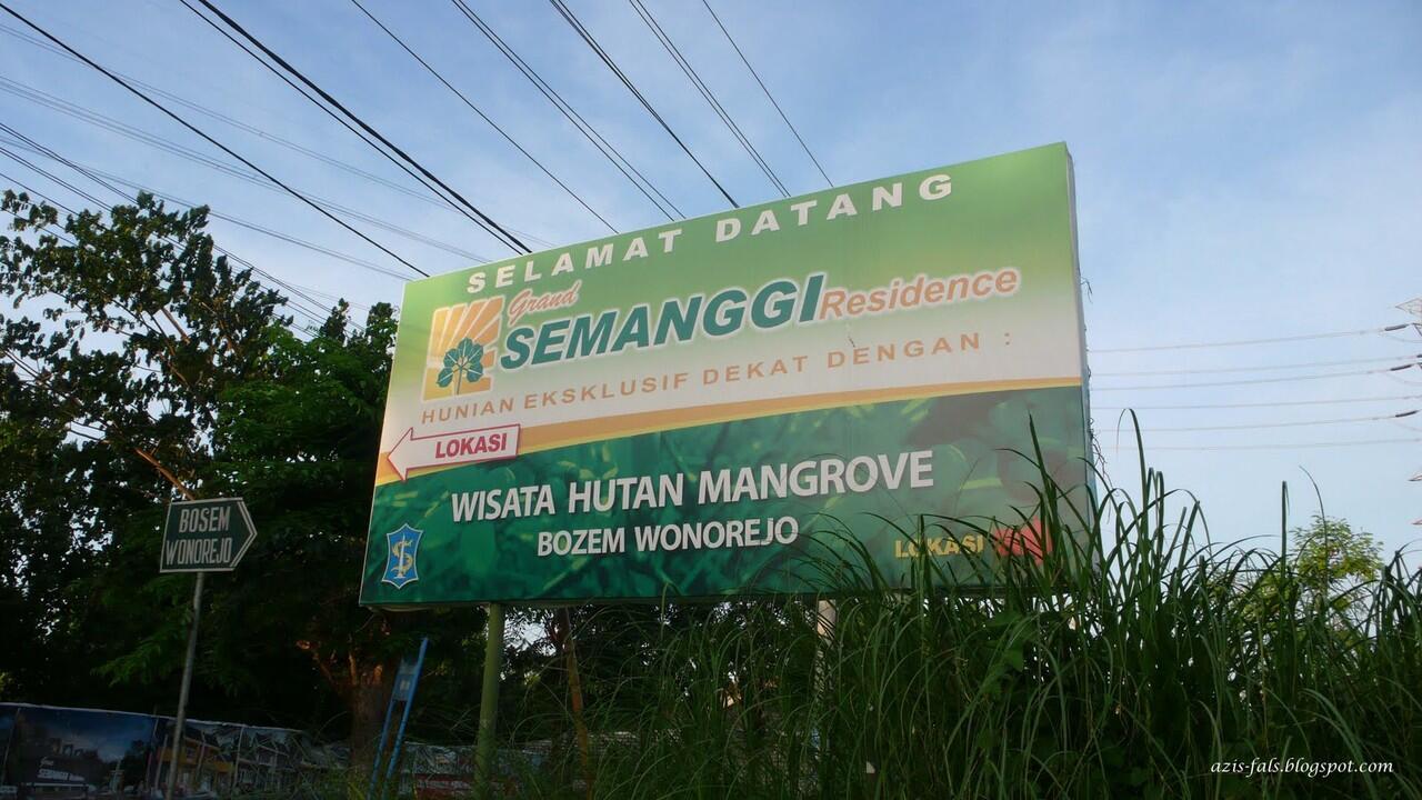 Wisata Hutan Mangrove Surabaya &#91;Wisata Lokal&#93;