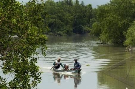 Wisata Hutan Mangrove Surabaya &#91;Wisata Lokal&#93;