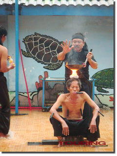 Sekilas Mengenal Kesenian Debus Banten