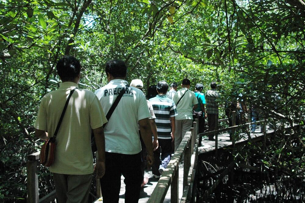 Kasus hutan mangrove Bali