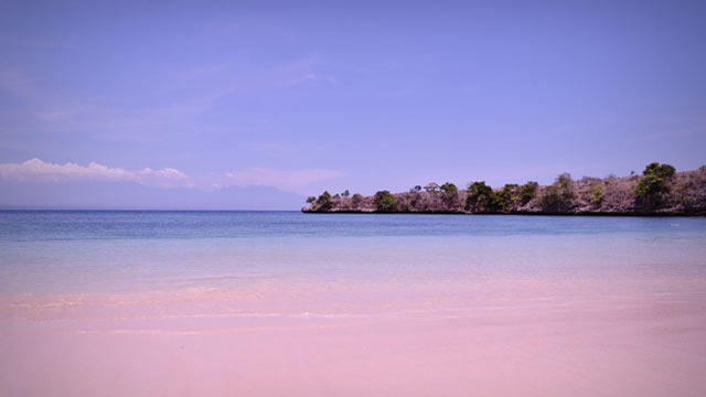 Pantai Pink, Harta Karun Tersembunyi di Lombok