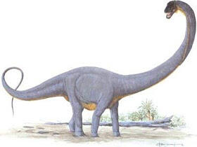 10 Dinosaurus Dengan Ukuran Paling Besar
