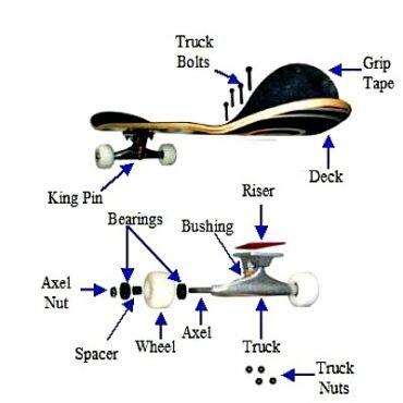 Mengenal Bagian-bagian Penting Skateboard