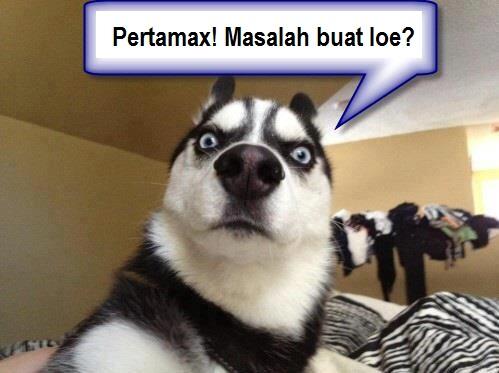 ( untuk meluruskan kejadian 2 anggota FPI di Tegal )