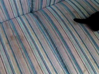 Cuci Sofa, karpet dan Jasa Cleaning