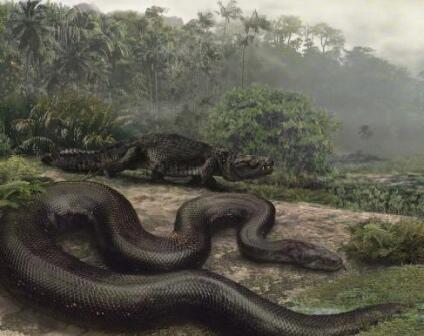 3 ULAR TERBESAR DI DUNIA