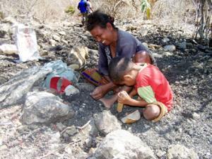 Mangan Terbaik Ada di Pulau Timor 