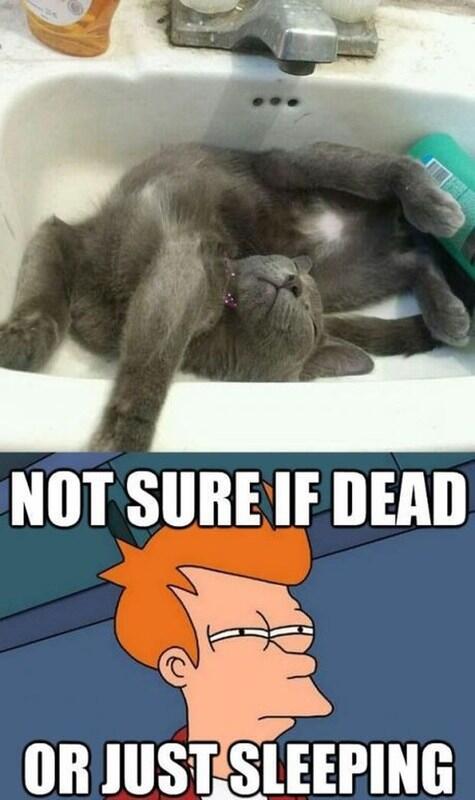 Arti Kumpulan Gambar: Lucu, Unik, Aneh?