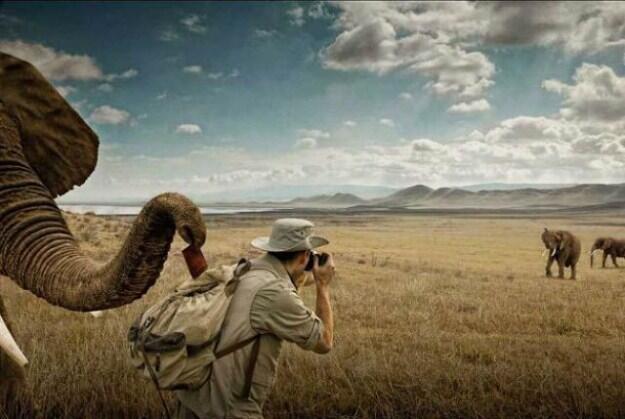 Arti Kumpulan Gambar: Lucu, Unik, Aneh?