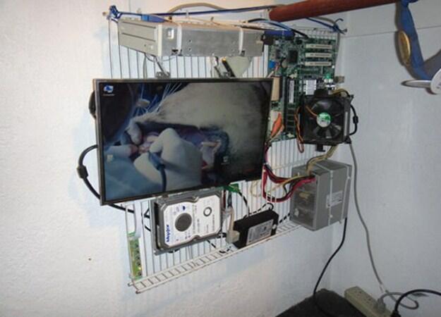 Arti Kumpulan Gambar: Lucu, Unik, Aneh?