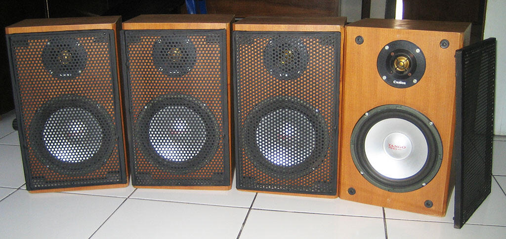 speaker tango 8 inch