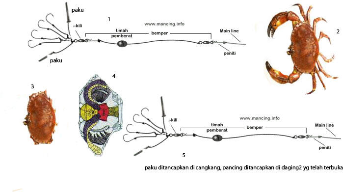 kaskus-image