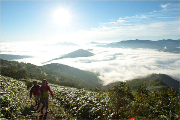 Di Jepang, Wisatawan Bisa Makan di Atas Awan