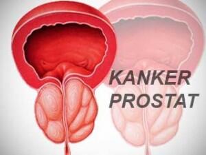  5 Fakta Masturbasi Yang Wajib Agan Ketahui 