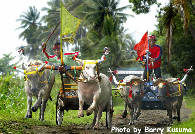 9 Festival Budaya Terbaik di Indonesia. | KASKUS