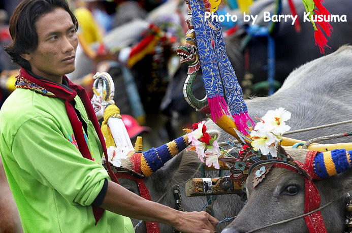 Balapan2 unik Tradisional asli Indonesia