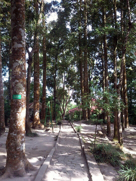 Wisata Kaliurang Yogyakarta