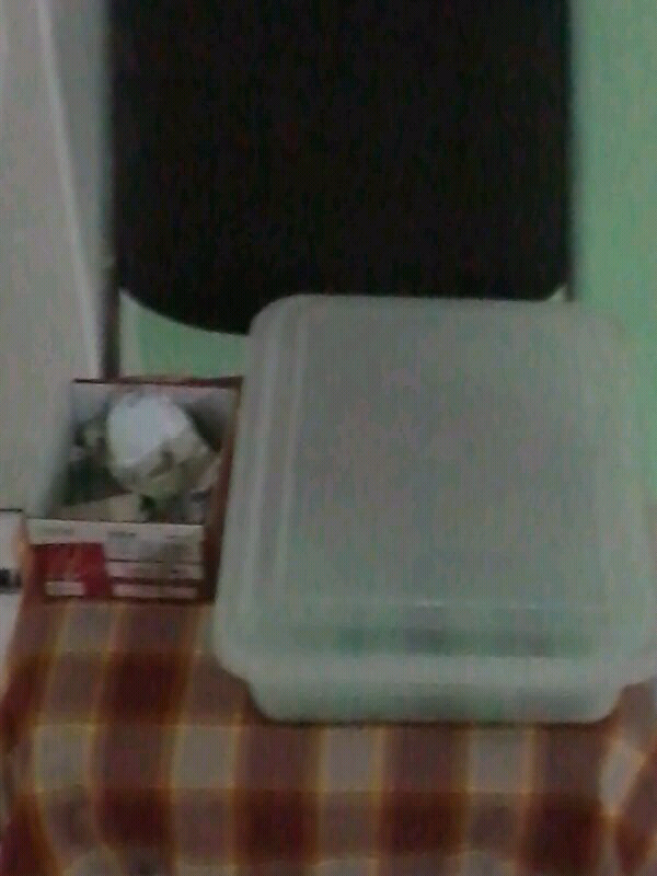 &#91;PIC&#93; Kantin Ke-jujuran Versi Asrama Ane