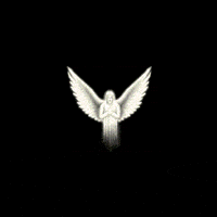 share : mod punya aturan juga