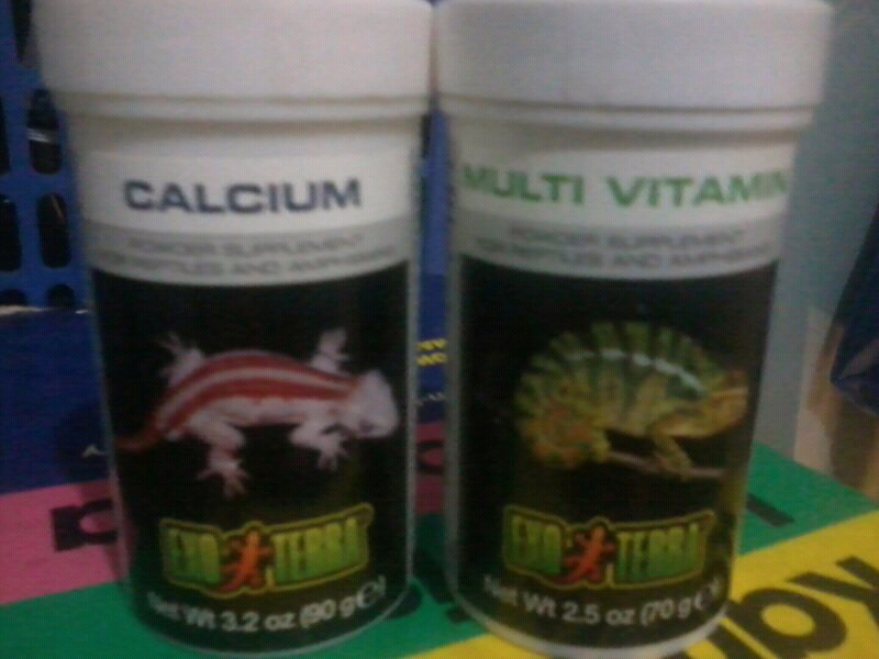 tempatnya barter hewan part II