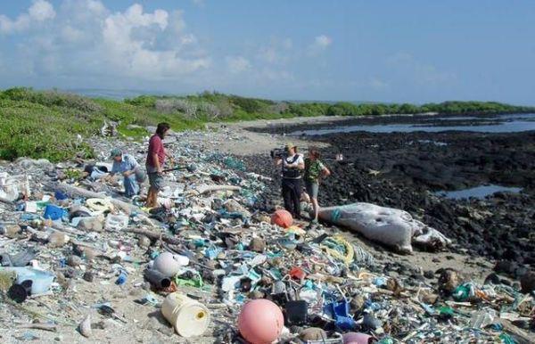 4 rencana inovatif untuk mengurangi polusi sampah plastik di samudera