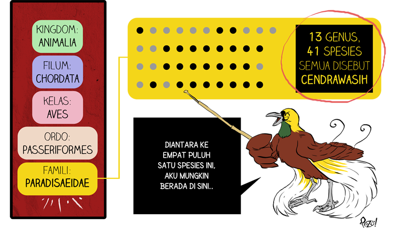 &#91;Info Hewan Bergambar + Komik!&#93; - Cendrawasih Kuning Kecil