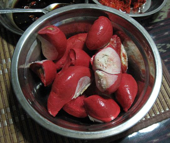 &#91;HOT&#93; Durian Merah Yang Langka &#91;pict++++&#93;