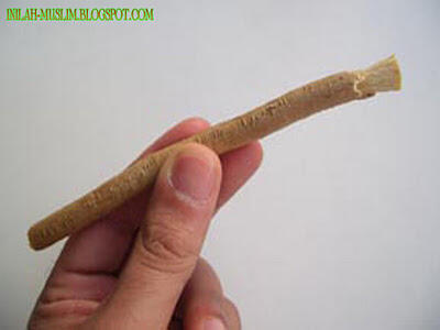 Kayu Siwak