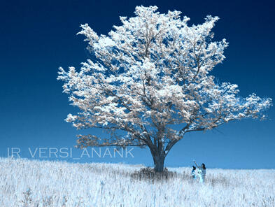 ACTION IR PHOTOSHOP VERSIKU