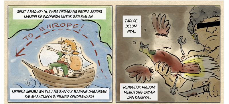 &#91;Info Hewan Bergambar + Komik!&#93; - Cendrawasih Kuning Kecil