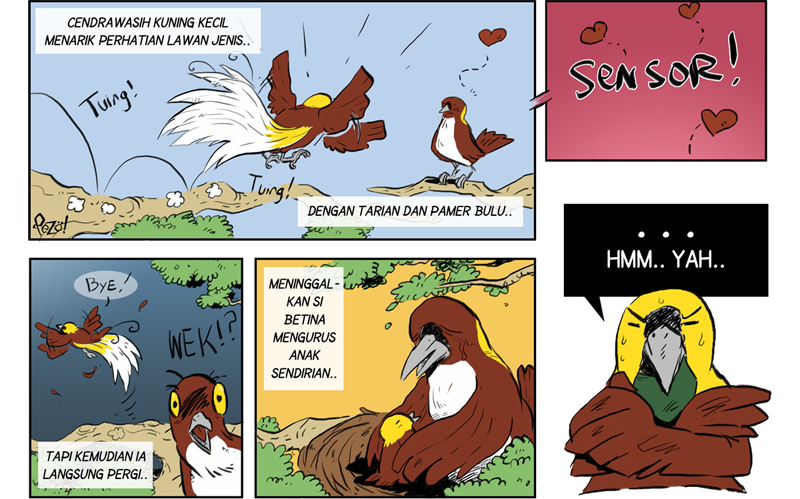 &#91;Info Hewan Bergambar + Komik!&#93; - Cendrawasih Kuning Kecil
