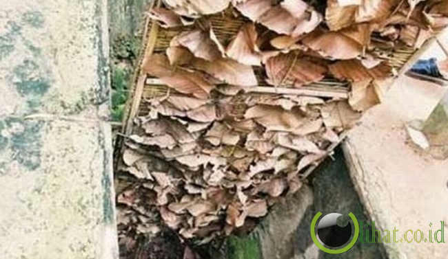 5 Perangkap Jebakan Vietnam yang paling Mengerikan