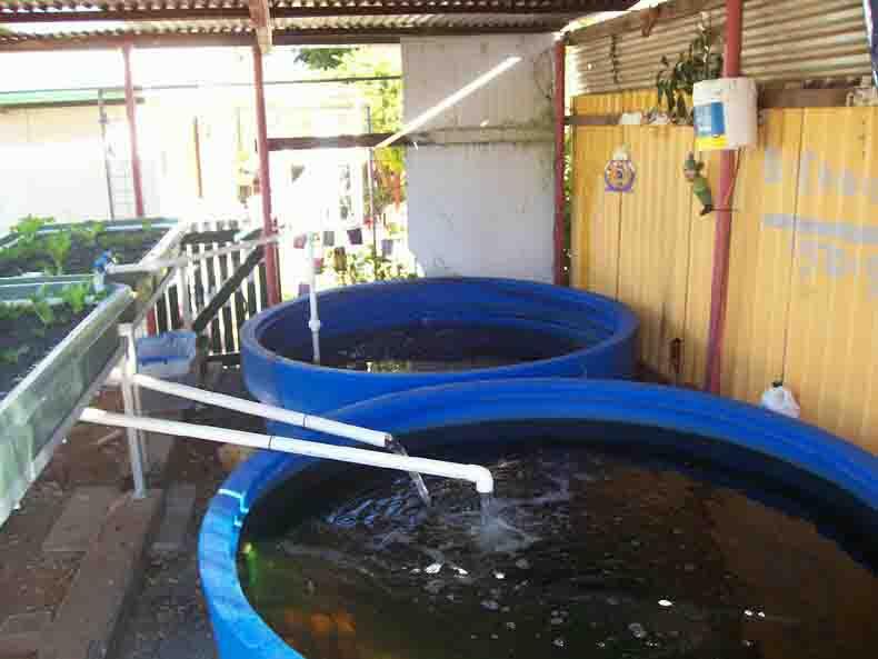 Dapet duit tambahan dari ngutak-ngatik halaman rumah....