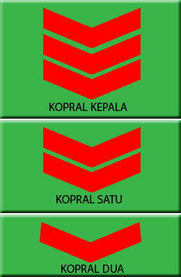 Pangkat-Pangkat Di TNI Gan